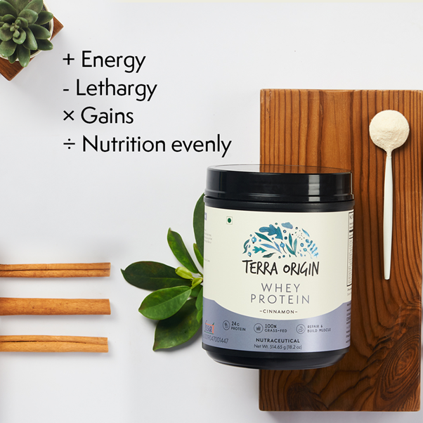 is-protein-powder-good-for-weight-loss-let-s-find-out-daily-health-ideas