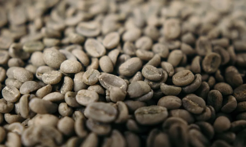 Can you smell the fresh scent of coffee beans?