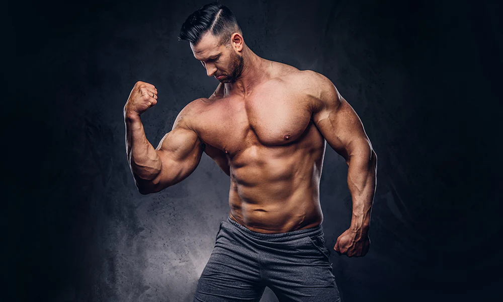 How Steroids Build Muscle and Improve Performance