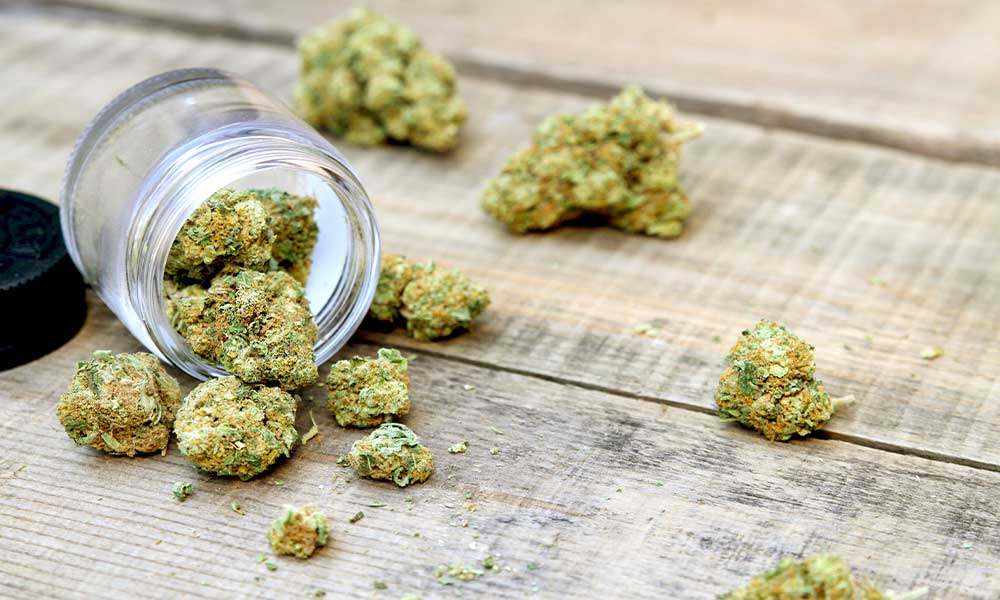 BEST WEED STRAINS FOR CREATIVITY