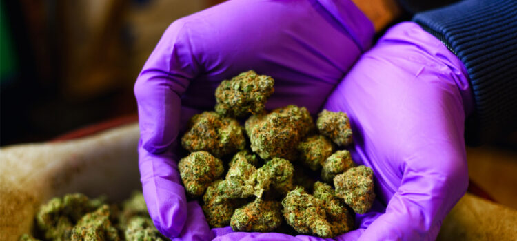 CBD affect